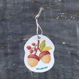 Plantish POP-UP SPONGE