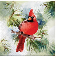 DECORATIVE PAPER NAPKINS | CARDINAL | The Baldwin Fund