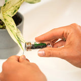 Bamboo Switch BAMBOO DENTAL FLOSS