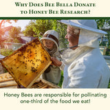 Bee Bella BEESWAX LIP BALM | Holiday