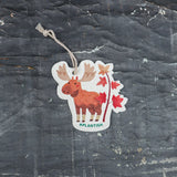 Plantish POP-UP SPONGE