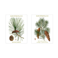 Koustrup&Co NOTE CARDS