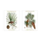 Koustrup&Co NOTE CARDS