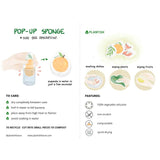 Plantish POP-UP SPONGE HOLIDAY ORNAMENT