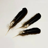 NATURAL FEATHER