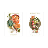 Koustrup&Co NOTE CARDS