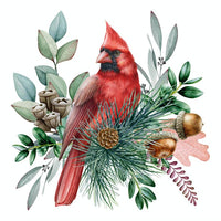 DECORATIVE PAPER NAPKINS | CARDINAL | The Baldwin Fund