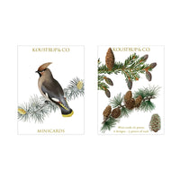 Koustrup&Co NOTE CARDS