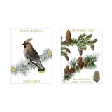 Koustrup&Co NOTE CARDS