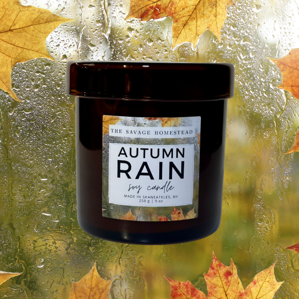 Soy Candle AUTUMN RAIN