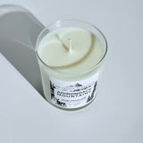 Soy Candle ADIRONDACK MOUNTAINS