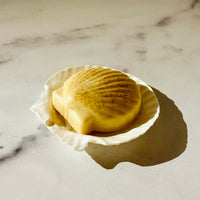 The Savage Homestead SEASHELL OATMEAL SOAP with shell holder