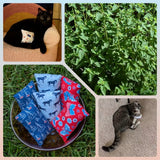 Handmade ORGANIC CATNIP CAT TOY
