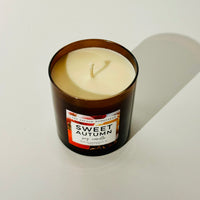 Soy Candle SWEET AUTUMN