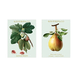 Koustrup&Co NOTE CARDS