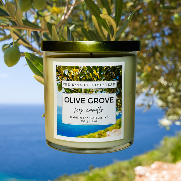 Soy Candle OLIVE GROVE