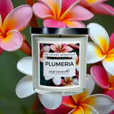 Soy Candle PLUMERIA