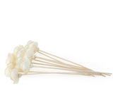 DIFFUSER REEDS