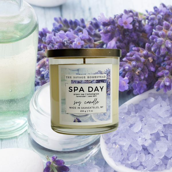 Soy Candle SPA DAY