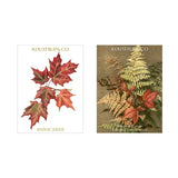 Koustrup&Co NOTE CARDS