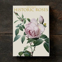 Koustrup&Co NOTE CARDS FOLDER Set of 8 Designs