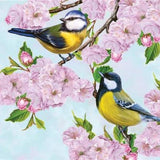 DECORATIVE PAPER NAPKINS - SPRING