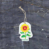 Plantish POP-UP SPONGE