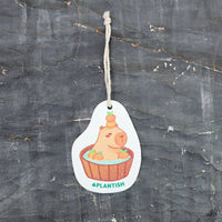 Plantish POP-UP SPONGE