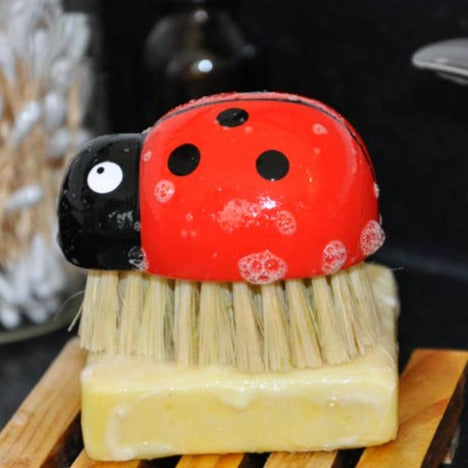 Zefiro WOODEN LADYBUG BRUSH