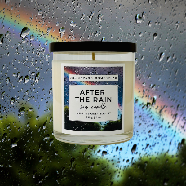 Soy Candle AFTER THE RAIN