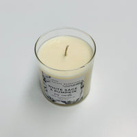Soy Candle <br>WHITE SAGE & PUMPKIN